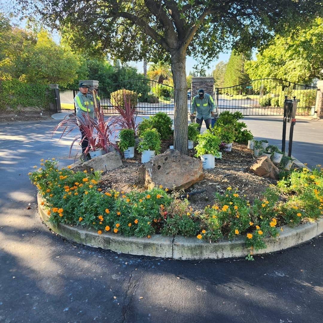 Front yard renovation with mulch beds and pavers