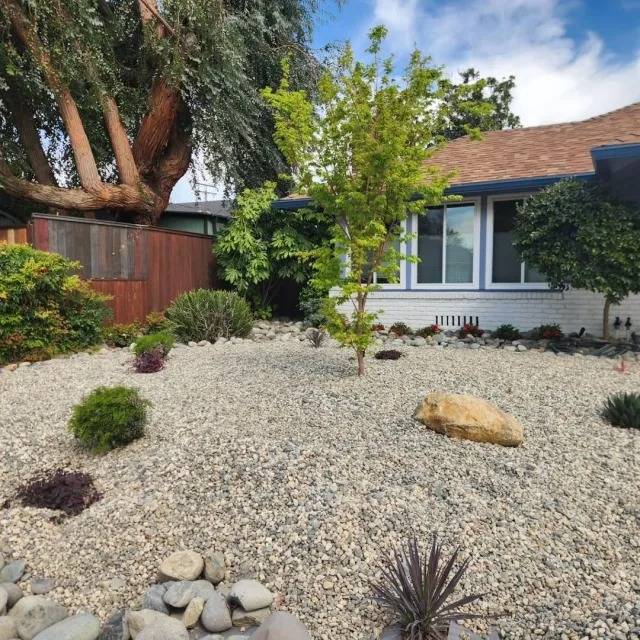 Low-water rock and gravel front yard